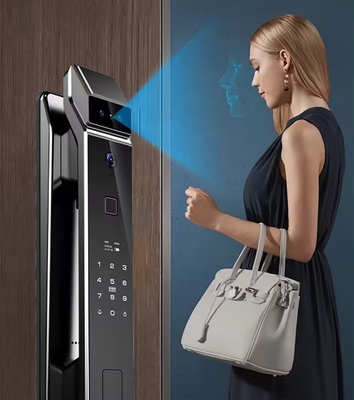 Tuya con lucchetto per impronte digitali a riconoscimento facciale completamente automatico con corpo di lucchetto