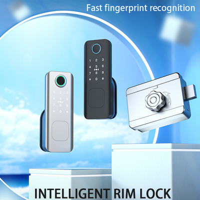 Glomarket Sicurezza all'aperto Chiave digitale intelligente Password impronta digitale Smart Rim Door Lock For Gate Porta d'ingresso