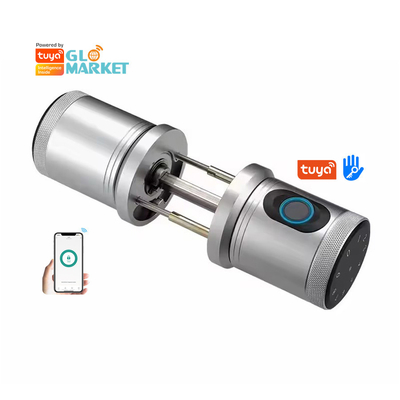 Glomarket Nuovo stile Tuya App Controllo Smart Lock Porta Impressione digitale Password Casa Hotel Appartamento Smart Electronic Door Knob Lock