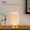 Lampada da tavolo Smart Lantern Decorativa Tuya APP Alexa Google Smart WiFi LED Light