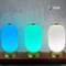 Glomarket Tuya Wifi 3D Stampa Lanterna Intelligente Luce 16 Milioni di Colori Regolazione Luminosa