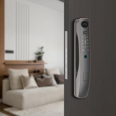 Chiusura porta con riconoscimento facciale intelligente di alta qualità supporta 6 metodi di sblocco