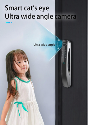 Chiusura porta con riconoscimento facciale intelligente di alta qualità supporta 6 metodi di sblocco