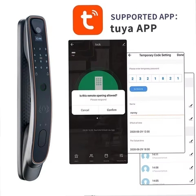 Tuya riconoscimento facciale lucchetto intelligente della porta Wi-Fi / impronta digitale zigbee / vene digitali opzionale cattura occhio di gatto