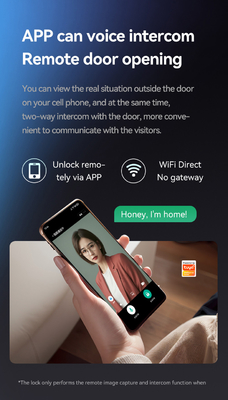 Glomarket Tuya Wifi Smart Lock Porta in legno in alluminio Riconoscimento facciale di impronte palmare impronte digitali digitali