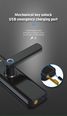 Glomarket Tuya Wifi Smart Door Lock con Cat Eye Digital Lock Porta digitale con impronte digitali Smart Home