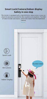 Glomarket Tuya Wifi Impronta digitale Password Chiusura porta intelligente Remote Control Chiusura intelligente con fotocamera
