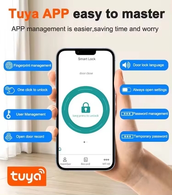 Glomarket Tuya Smart Security Serratura digitale delle porte Maniglia di impronte digitali biometriche Serratura intelligente Hotel Camera appartamento Serratura di fabbrica Prezzo