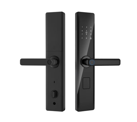 Glomarket Tuya Smart Security Serratura digitale delle porte Maniglia di impronte digitali biometriche Serratura intelligente Hotel Camera appartamento Serratura di fabbrica Prezzo
