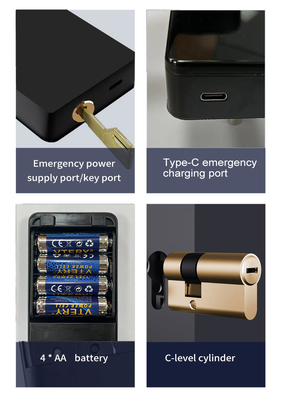 Glomarket Tuya TTlock Impronta digitale Password Appartamento Camera di casa Cerraduras Inteligentes Sicurezza Smart Chiusura porta in legno