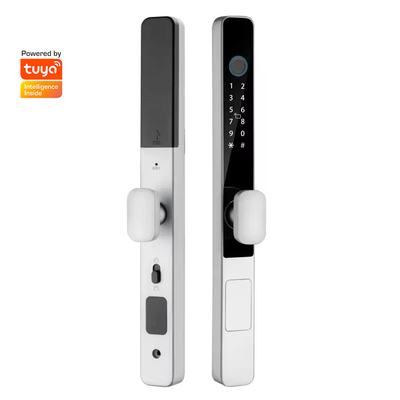 Glomarket Smart Tuya Serratura a prova d'acqua Porta scorrevole Impronta digitale Password Maniglia a controllo remoto Serratura elettronica intelligente