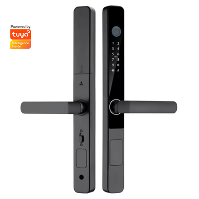 Glomarket Smart Tuya Serratura a prova d'acqua Porta scorrevole Impronta digitale Password Maniglia a controllo remoto Serratura elettronica intelligente