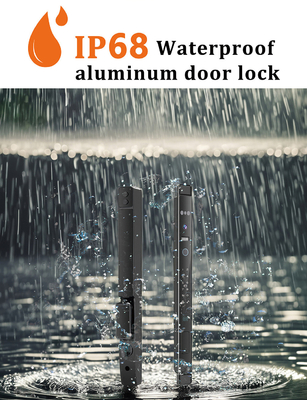 Glomarket Automatic 3d Face Smart Lock With Camera Security Biometric Fingerprint Porta scorrevole Tuya Smart Door Lock