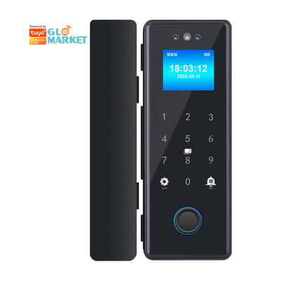 Glomarket Tuya Smart 3d Face Recognition Wifi Glass Door Lock Impressione digitale Password Carta di accesso Serratura elettronica per ufficio
