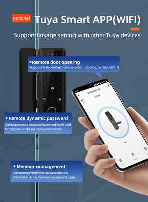 Glomarket Tuya Smart 3d Face Recognition Wifi Glass Door Lock Impressione digitale Password Carta di accesso Serratura elettronica per ufficio