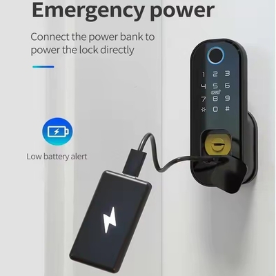Glomarket Smart Home Impermeabile Smart Electric Rim Lock con Tuya Controllo APP WIFI Porta esterno porta d'ingresso Smart Lock