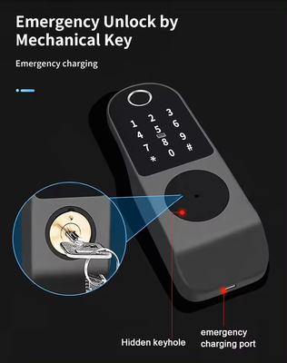 Glomarket Tuya Impermeabile Digitale TTLock Sblocco remoto Sblocco intelligente a doppia facciata con impronta digitale