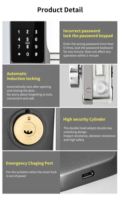 Glomarket Tuya Impermeabile Digitale TTLock Sblocco remoto Sblocco intelligente a doppia facciata con impronta digitale