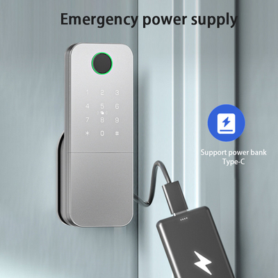 Glomarket Outdoor Electronic Smart Fingerprint Password Blocco digitale Tuya Ttlock Blocco smart porta