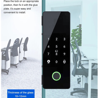 Glomarket Tuya Smart Glass Door Lock Biometric Fingerprint BLE Smart Electronic Lock Per ufficio Porta di vetro
