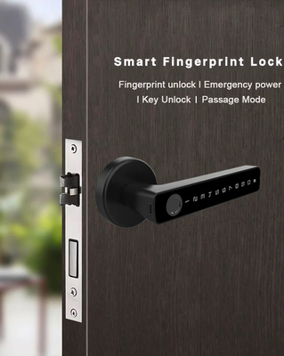 Glomarket Tuya Ble Smart Lock Sicurezza elettronica senza chiave Smart Door Handle Lock Blocco interno