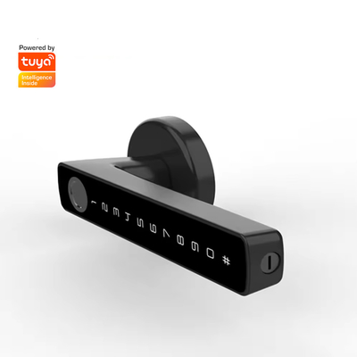 Glomarket Tuya Ble Smart Lock Sicurezza elettronica senza chiave Smart Door Handle Lock Blocco interno