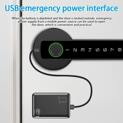 Glomarket Tuya Ble Smart Lock Sicurezza elettronica senza chiave Smart Door Handle Lock Blocco interno