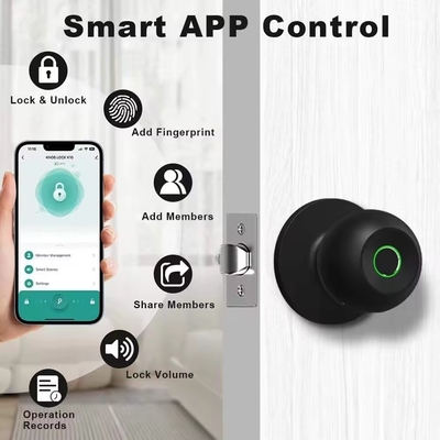 Glomarket Ingrosso Chiusura a manopola a sfera intelligente Chiusura a manopola senza chiave Chiusura a maniglia intelligente Chiusura Tuya App Control Chiusura a porta con impronta digitale intelligente
