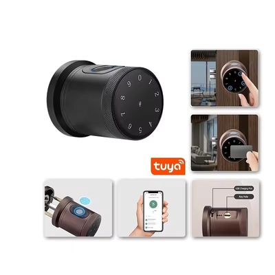 Glomarket Nuovo stile Tuya App Controllo Smart Lock Porta Impressione digitale Password Casa Hotel Appartamento Smart Electronic Door Knob Lock