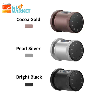 Glomarket Nuovo stile Tuya App Controllo Smart Lock Porta Impressione digitale Password Casa Hotel Appartamento Smart Electronic Door Knob Lock
