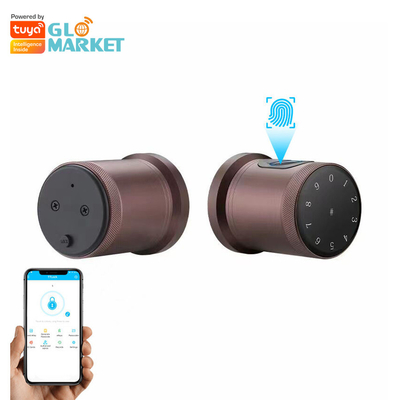 Glomarket Nuovo stile Tuya App Controllo Smart Lock Porta Impressione digitale Password Casa Hotel Appartamento Smart Electronic Door Knob Lock