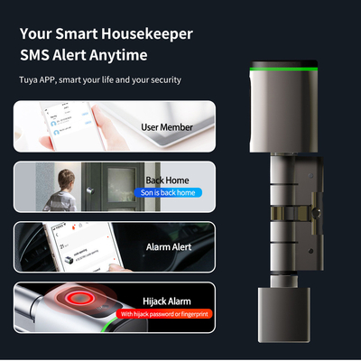 Glomarket Home Smart Door Lock Ttlock Smart Fingerprint Card Key Unlock Regolabile Cilindro Euro Smart Lock Tuya App Door Lock