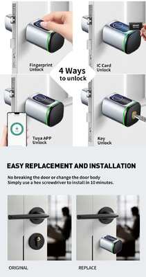 Glomarket Home Smart Door Lock Ttlock Smart Fingerprint Card Key Unlock Regolabile Cilindro Euro Smart Lock Tuya App Door Lock