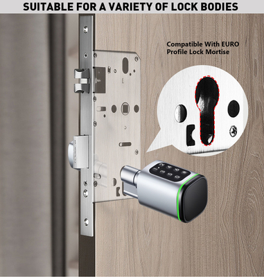Glomarket Tuya Ttlock Smart Digital Keyless Door Lock Cylinder Combinazione Password &amp; Card Serratura elettronica Silindri di serratura intelligente