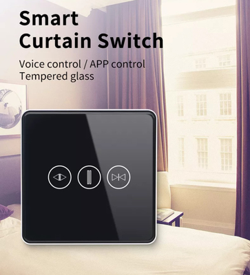 Smart Curtain Switch Wifi/Zigbee Voice Control Google Assistant Smart EU Standard Touch Screen Switch APP Interruttore di porta del garage
