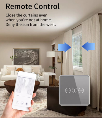 Smart Curtain Switch Wifi/Zigbee Voice Control Google Assistant Smart EU Standard Touch Screen Switch APP Interruttore di porta del garage